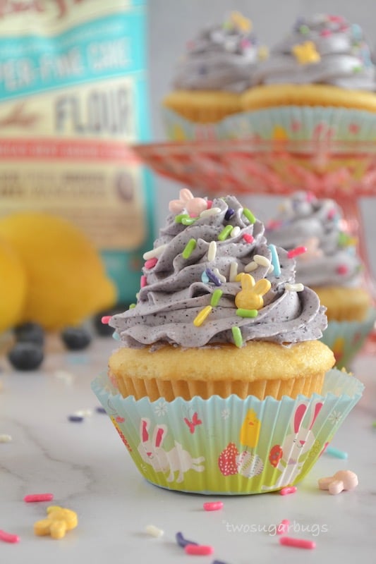 cupcake with sprinkles around it and lemons and blueberries in the background