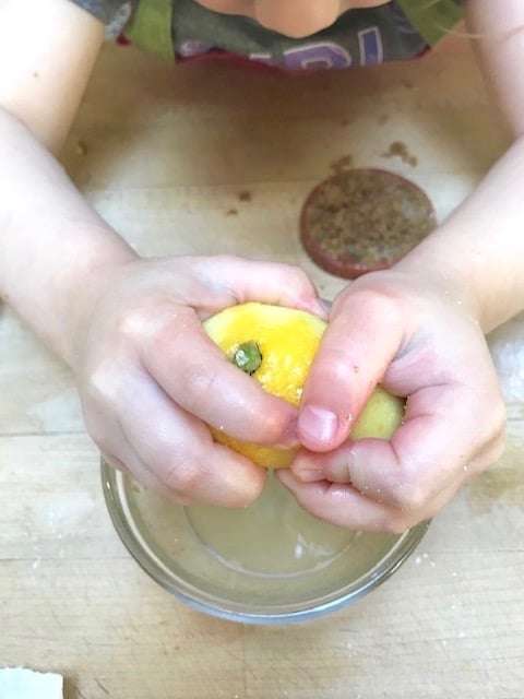 The best kitchen helper, squeezing fresh lemons.  #twosugarbugs