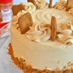 Cookie butter cake on cake stand