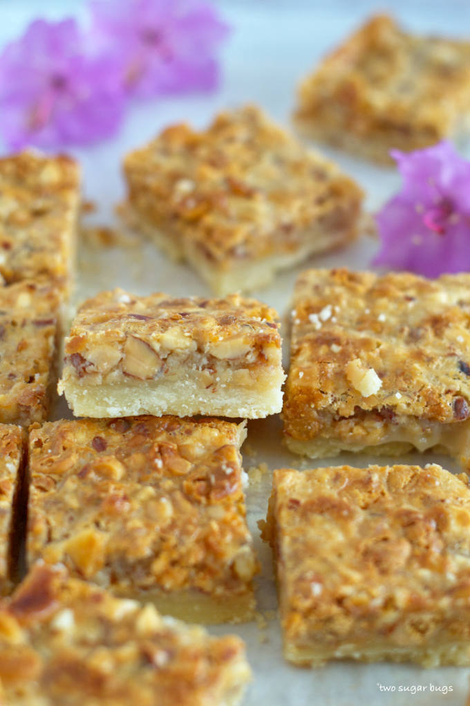 Easy Butterscotch Mixed Nut Bars ~ two sugar bugs