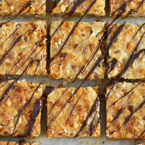 Easy Butterscotch Mixed Nut Bars two sugar bugs
