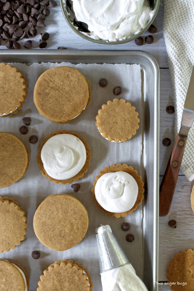 homemade graham crackers with marshmallow meringue and chocolate chips