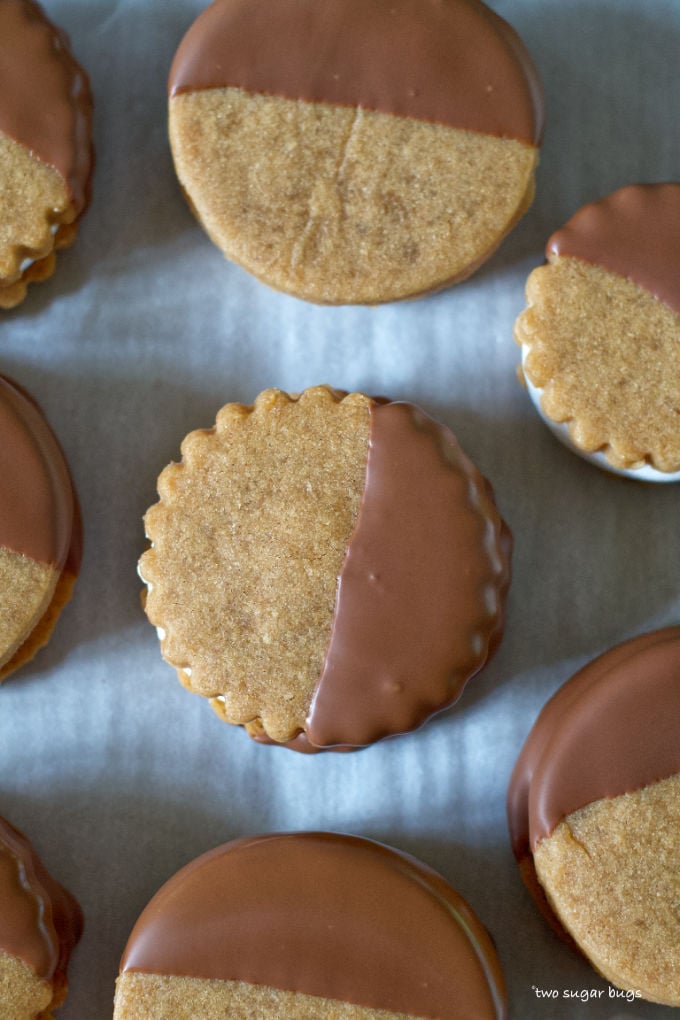 overhead look at s'mores bars