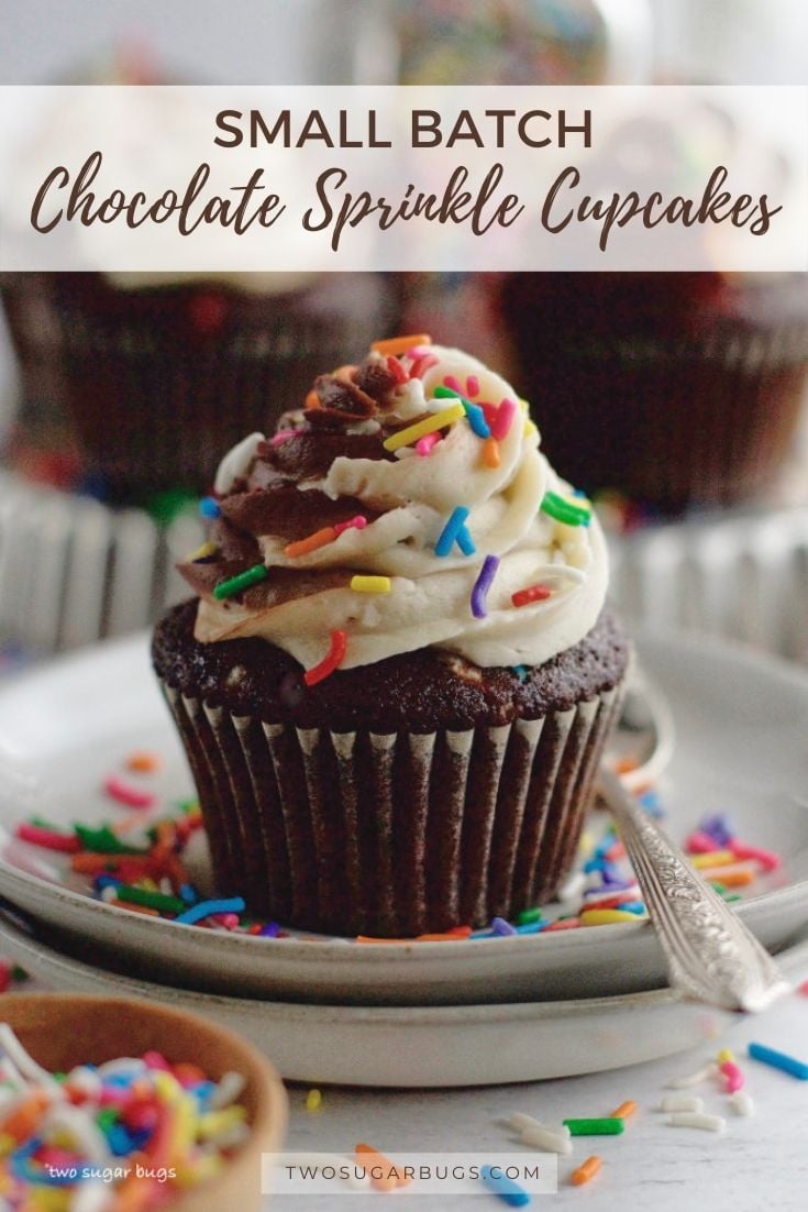 Small Batch Chocolate Cupcakes {with sprinkles} - two sugar bugs