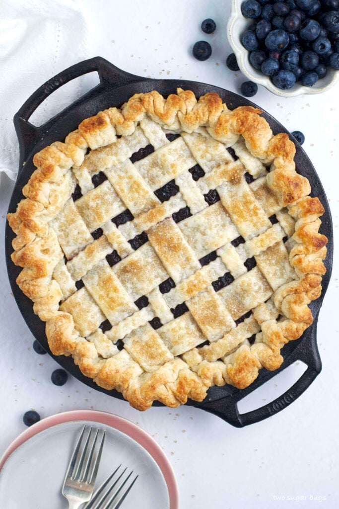 The BEST Frozen Blueberry Pie Two Sugar Bugs   The Best Blueberry Pie 683x1024 