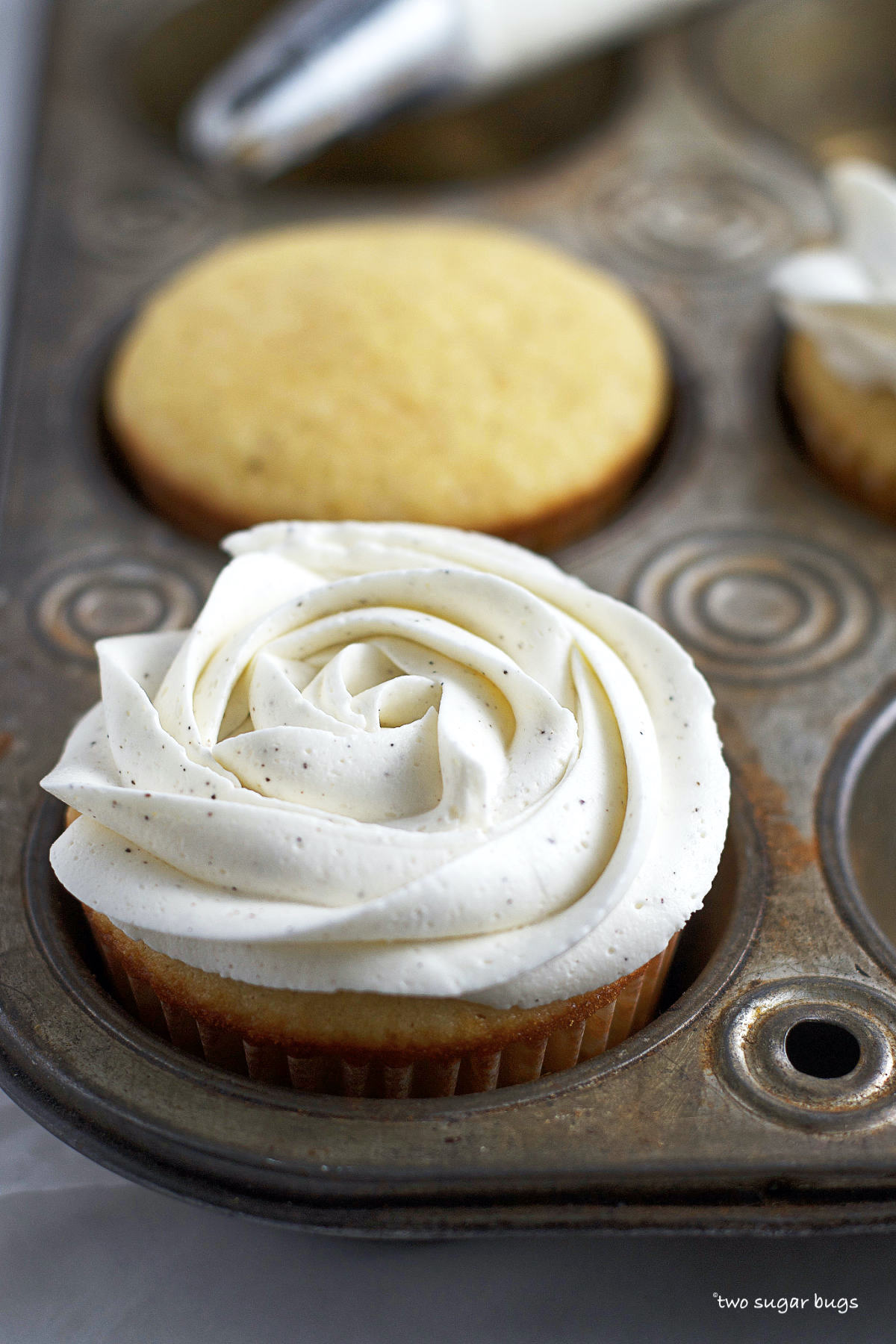buttercream swirl on an eggnog cupcake in a cupcake pan