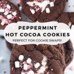 pinterest graphic for peppermint hot cocoa cookies