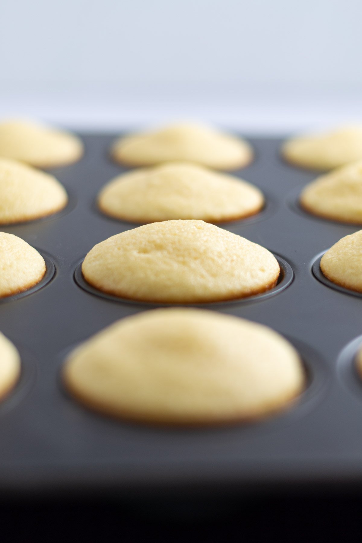 the vanilla cupcakes in a muffin tin after they have baked.