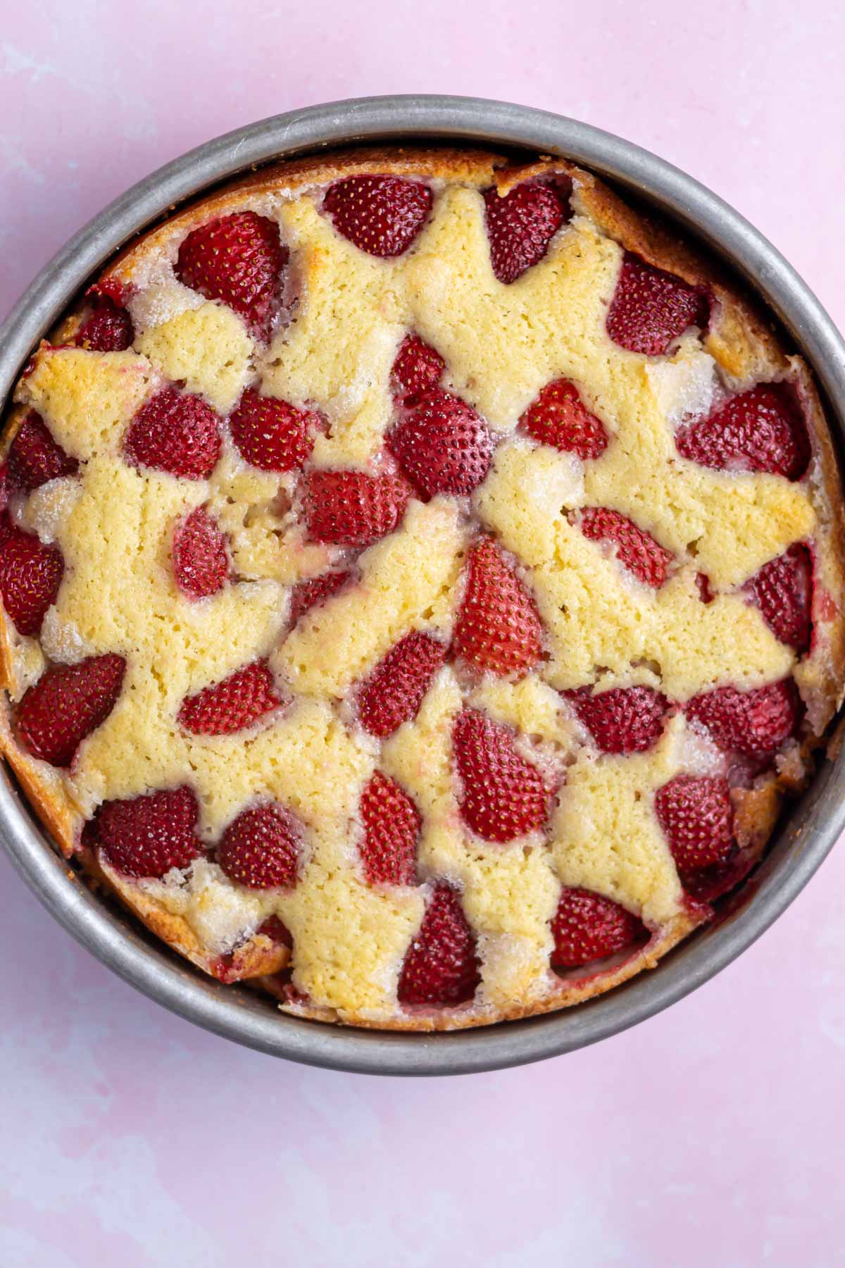 baked strawberry vanilla cake in a cake pan