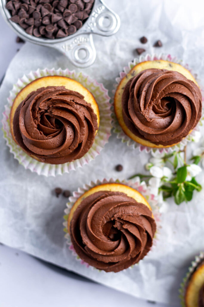 Easy Chocolate Chip Cupcakes two sugar bugs