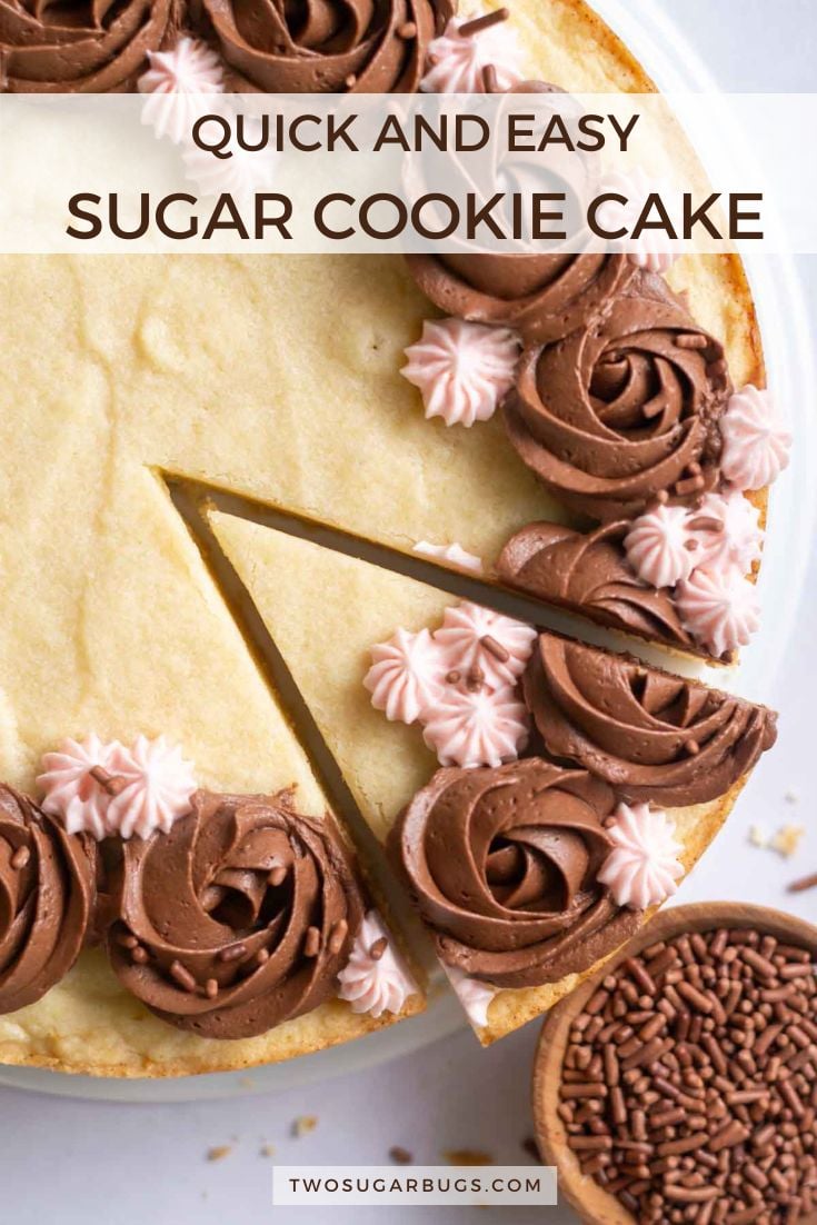 EASY Sugar Cookie Cake two sugar bugs