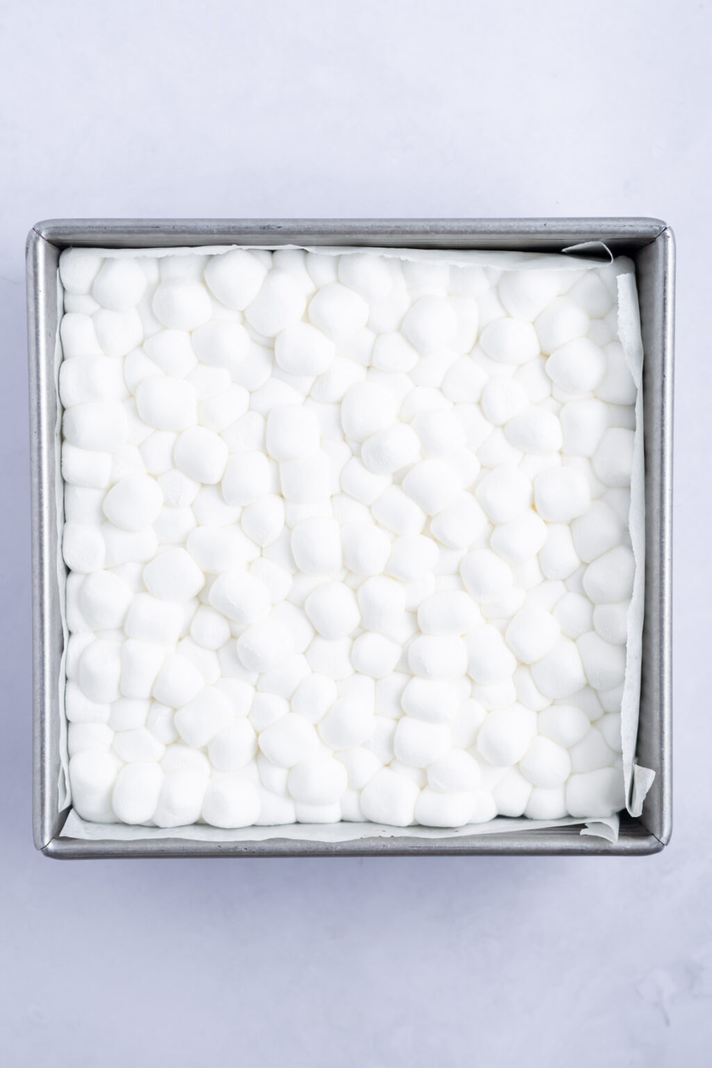 Marshmallow Brownies two sugar bugs