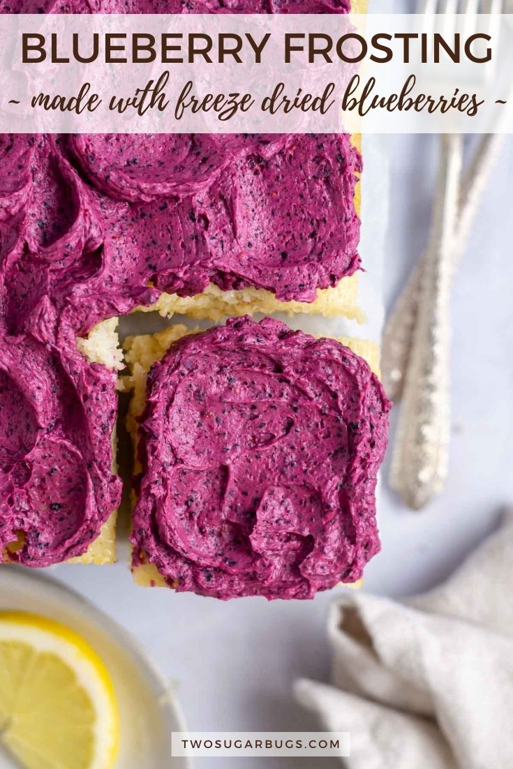 Easy Freeze Dried Blueberry Frosting two sugar bugs