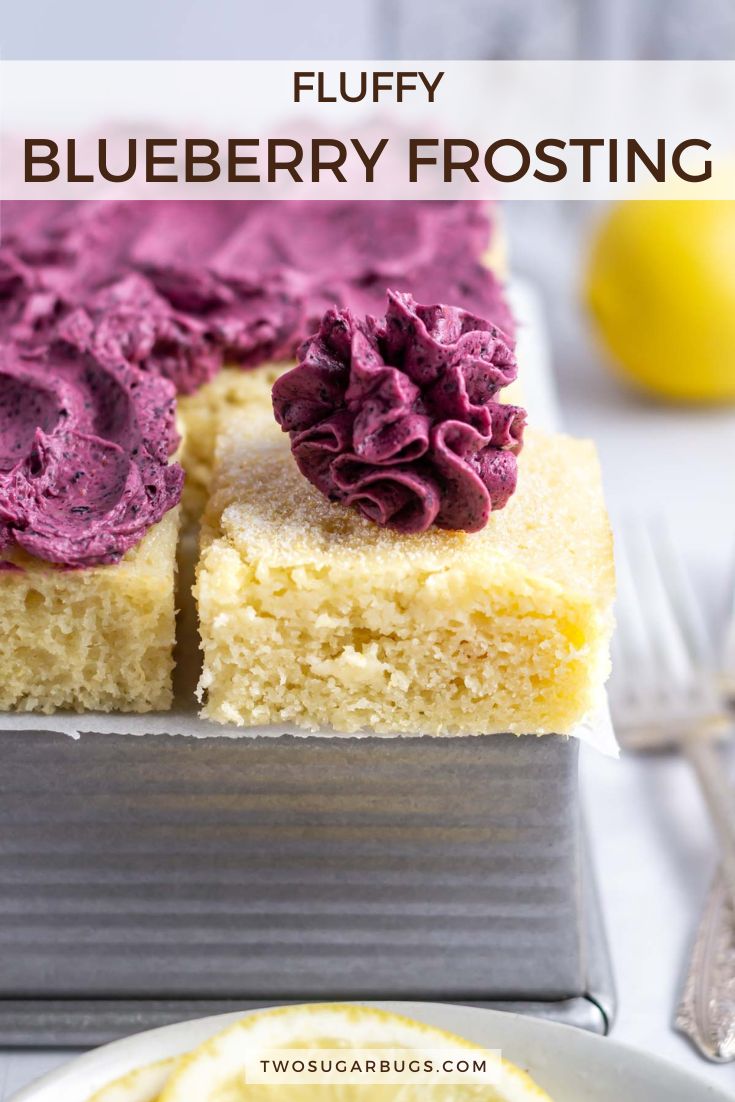 Easy Freeze Dried Blueberry Frosting two sugar bugs