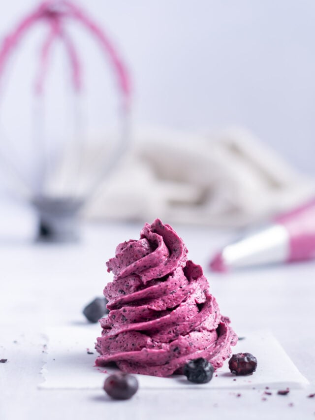 blueberry frosting two sugar bugs