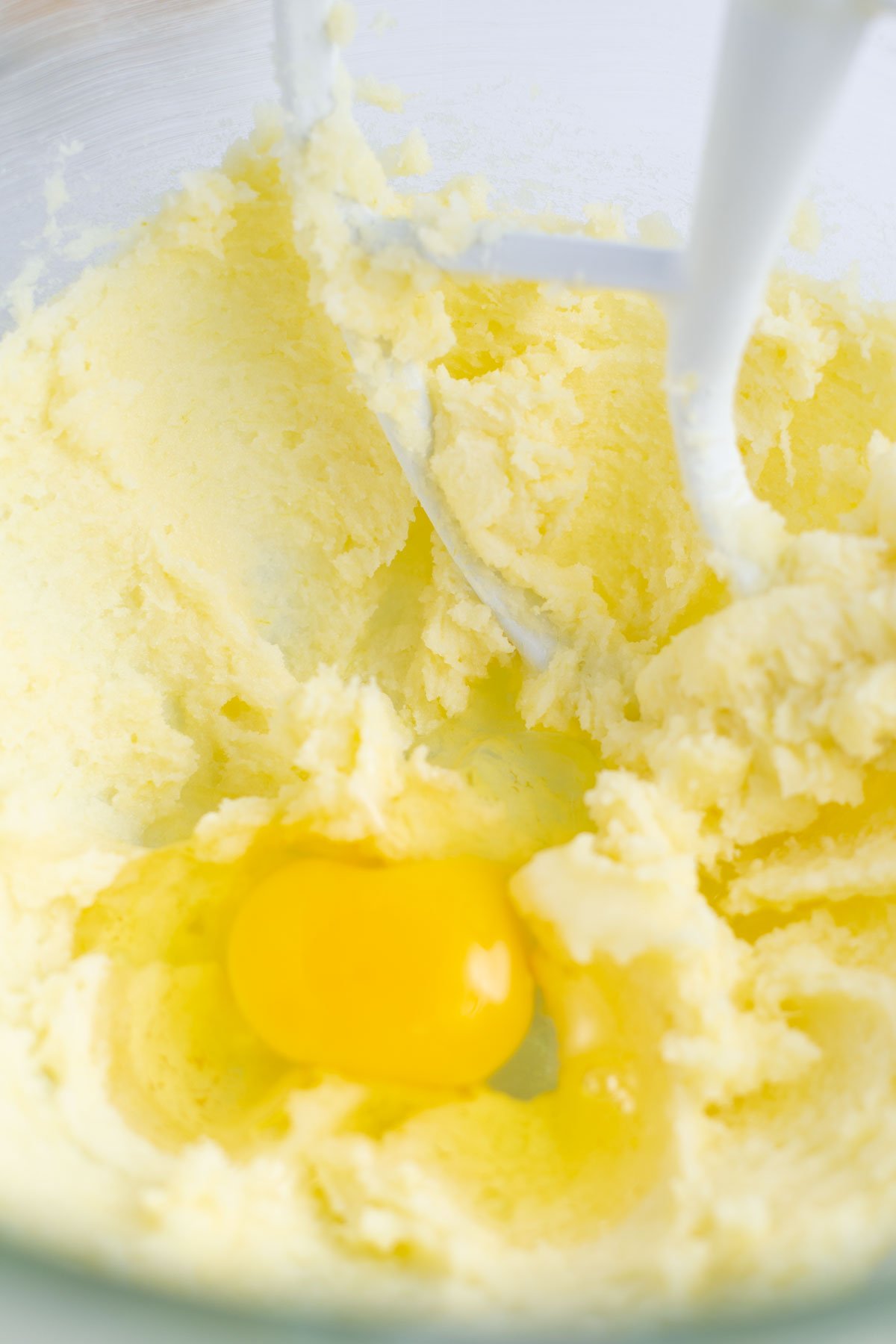 creamed butter and sugar in a mixing bowl with a whole egg added
