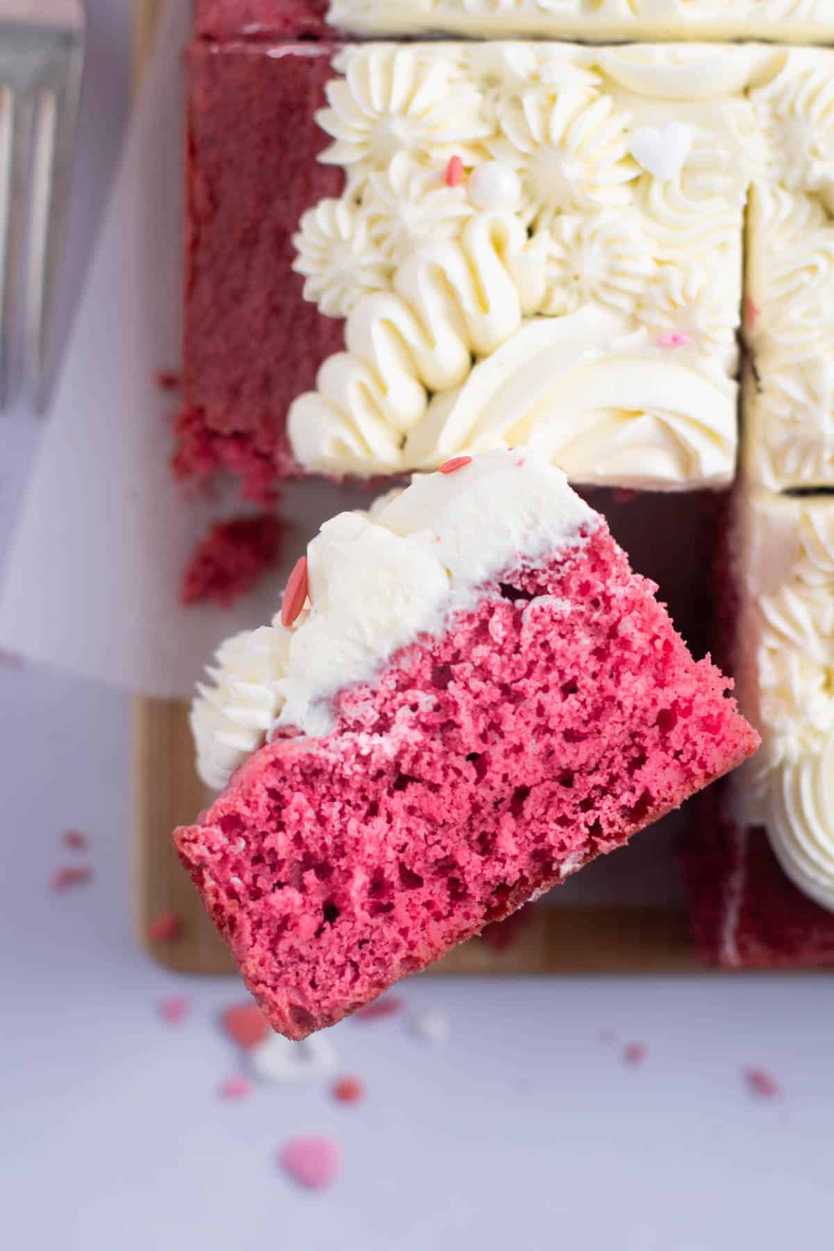 slice of pink velvet cake on it's side, showing the tender crumb