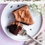 pinterest graphic for chocolate snack cake