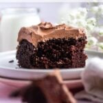 pinterest graphic for chocolate snack cake