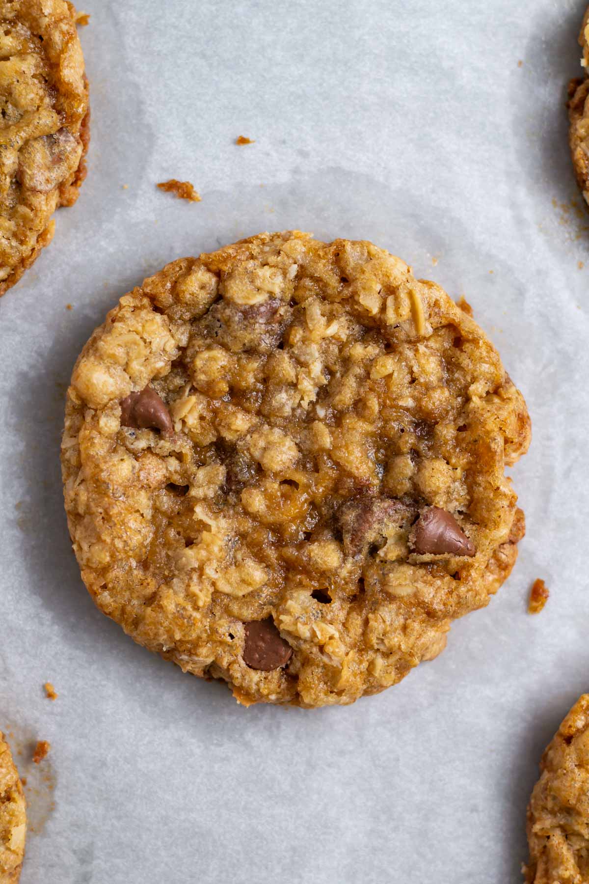 coconut oatmeal cookie with chocolate chips on a baking pan
