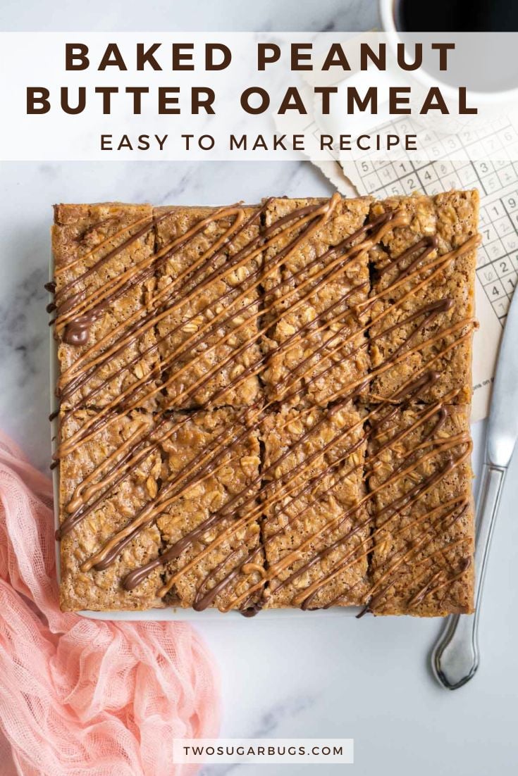 One Bowl Baked Peanut Butter Oatmeal two sugar bugs