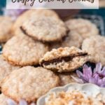 pinterest graphic for crispy coconut cookies