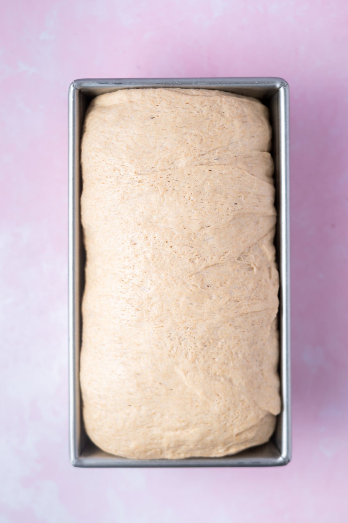 unbaked bread in a loaf pan