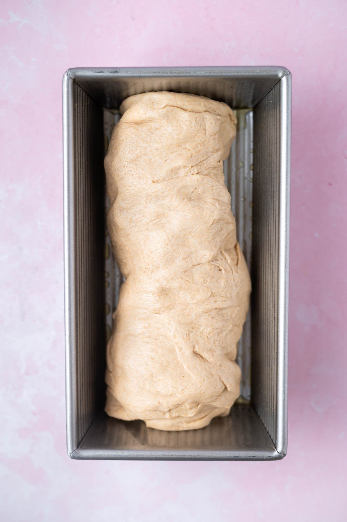 dough in a loaf pan before the second proofing