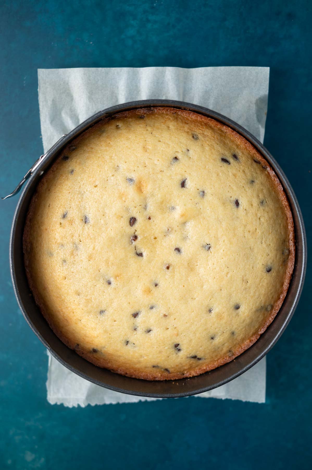 baked cake in a springform pan