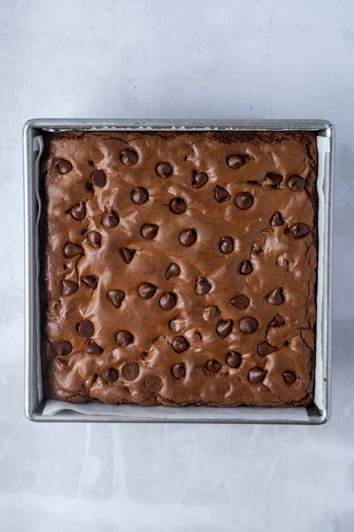 baked chocolate chocolate chip cookie bars in an 8x8 baking tin