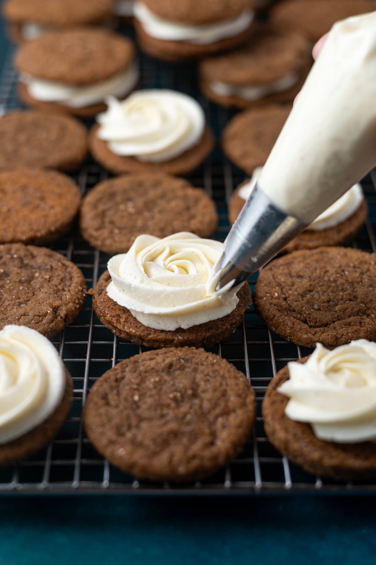 rosette being piped onto a gingerbread cookie