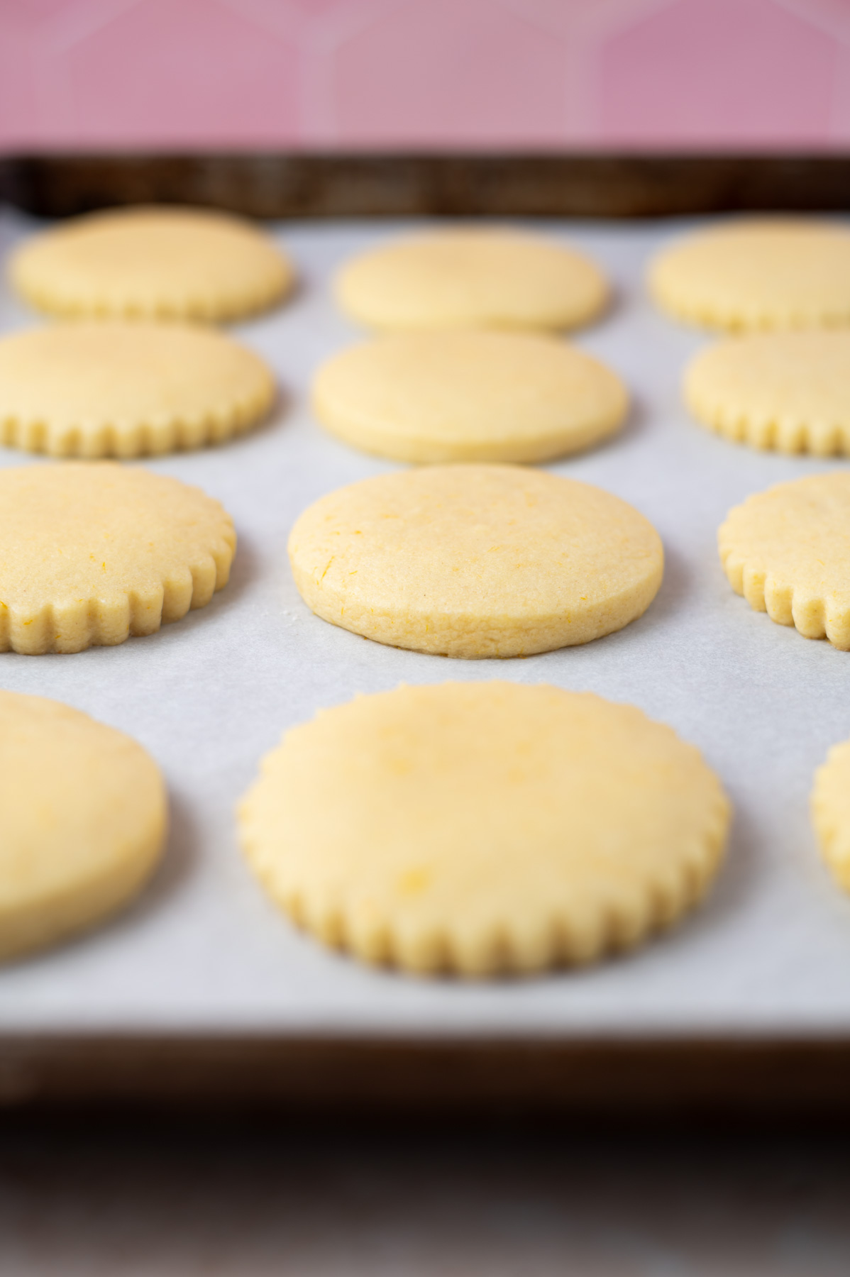 sugar cookies, with a slight puffiness to the top showing they are done baking