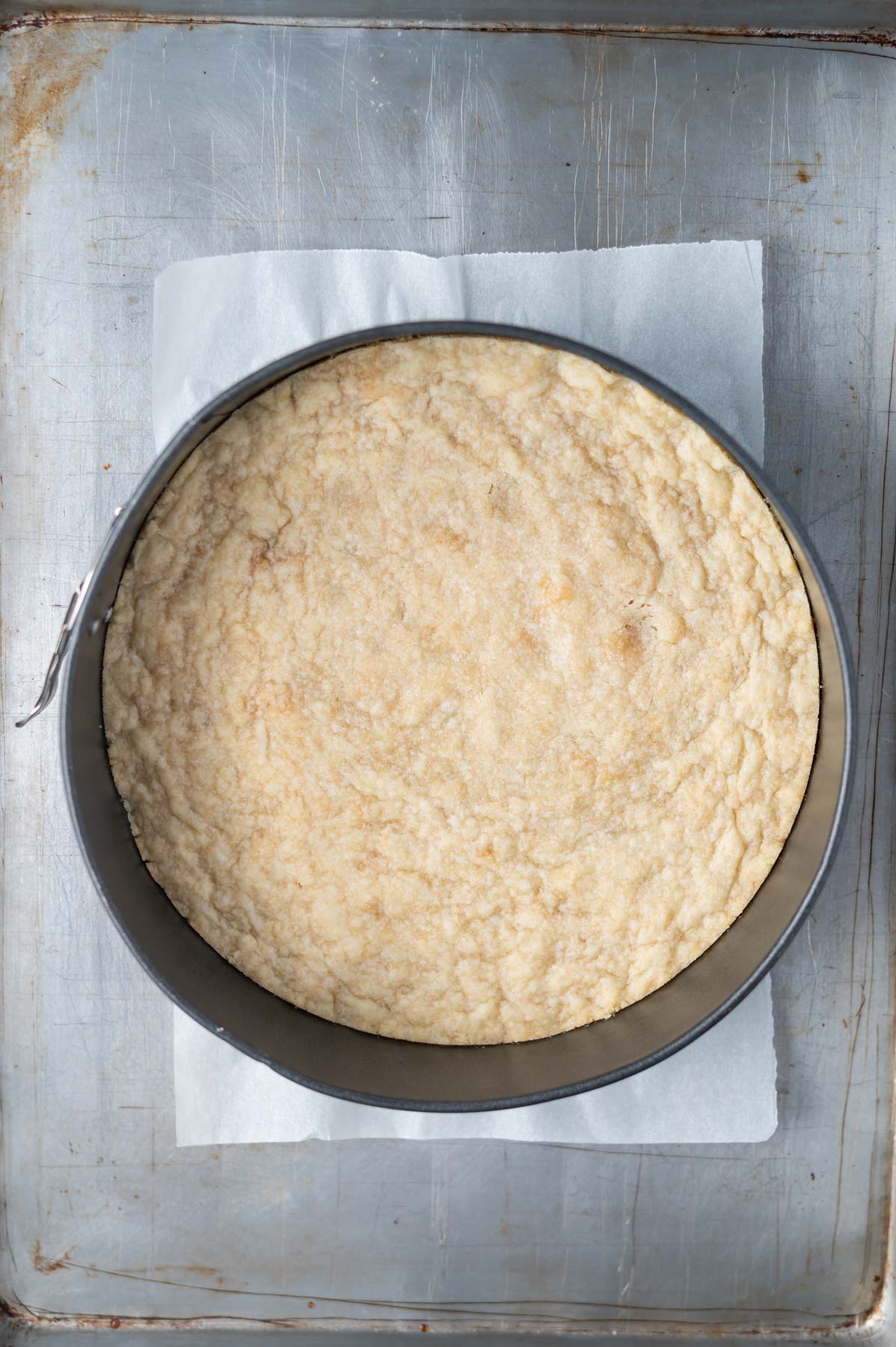 baked sugar cookie crust in a springform pan