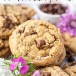 pinterest graphic for coconut chocolate chip cookies