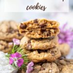 pinterest graphic for coconut chocolate chip cookies