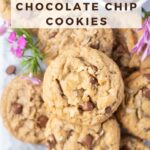 pinterest graphic for coconut chocolate chip cookies