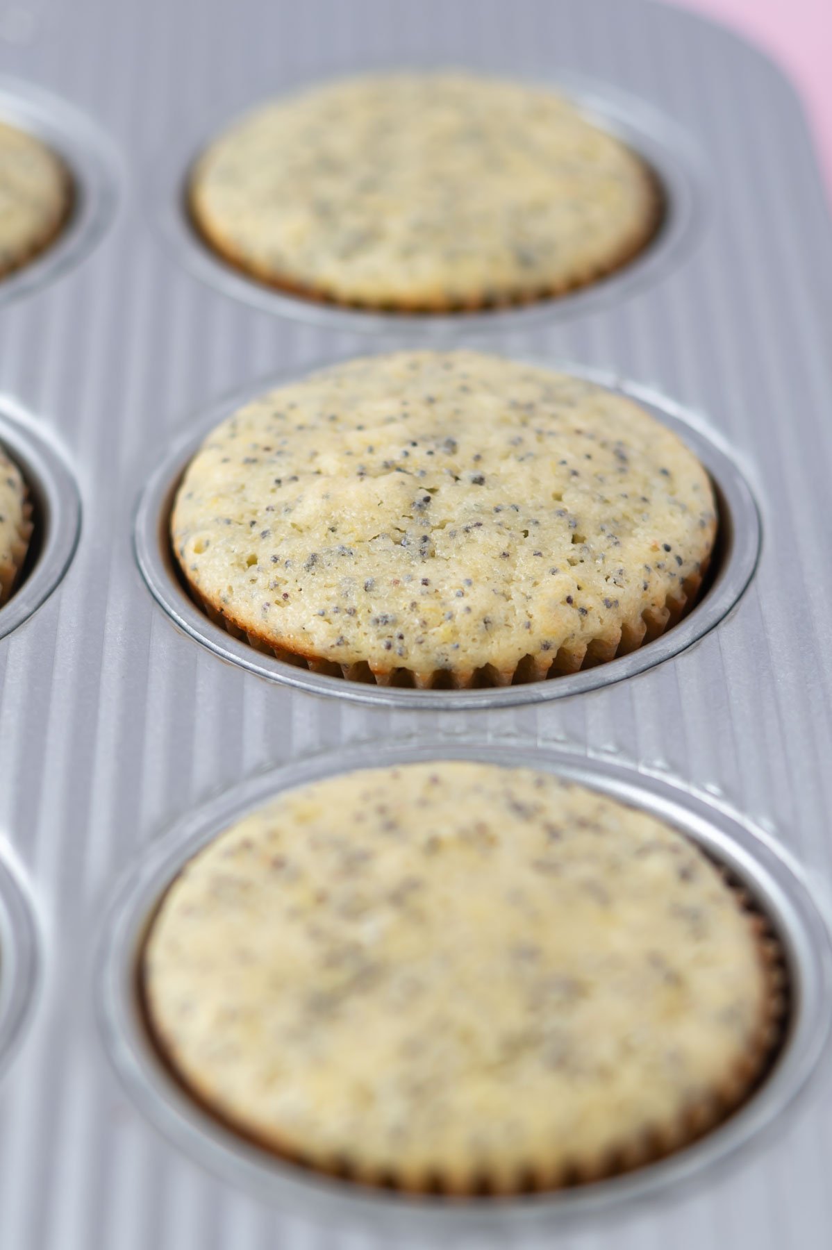 baked lemon poppy seed cupcakes