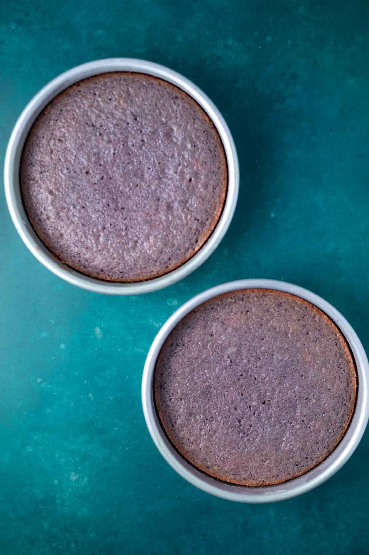 baked cake in cake pans