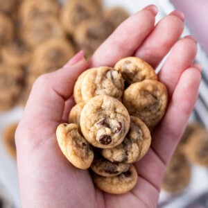 hand holding a pile mini chocolate chip cookies