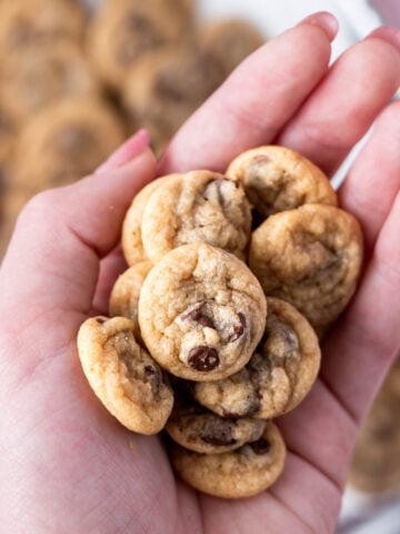 hand holding a pile mini chocolate chip cookies