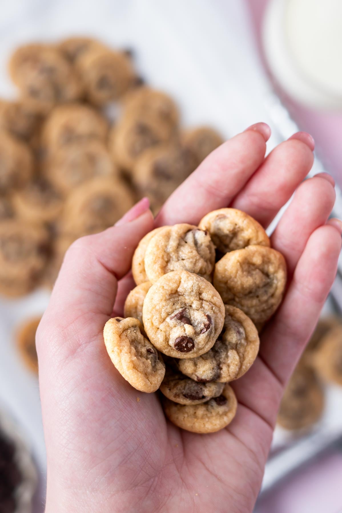 hand holding a pile mini chocolate chip cookies