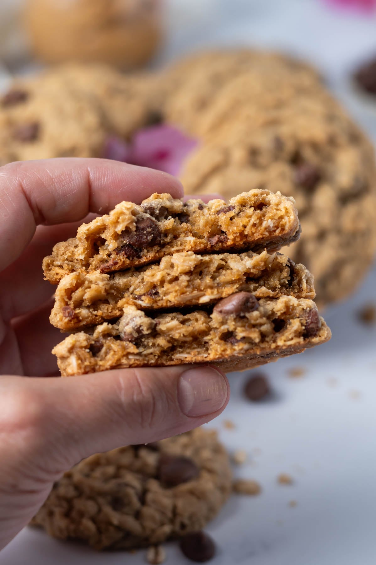 hand holding oatmeal peanut butter chocolate chip cookies broken in half to show the thick, chunky texture
