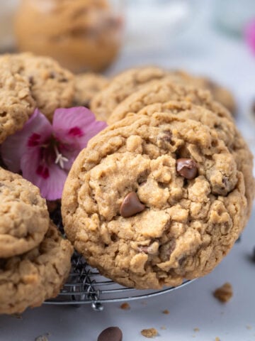 oatmeal peanut butter chocolate chip cookies on a round cooling rack with fresh pink flowers