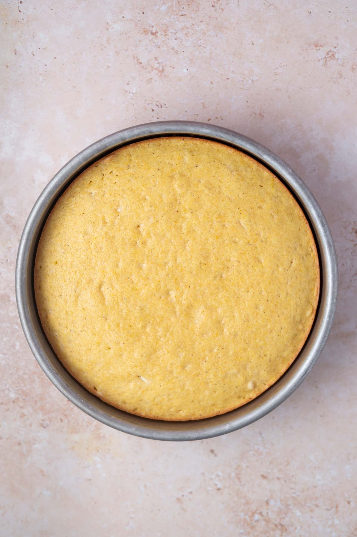 baked cake in a baking pan