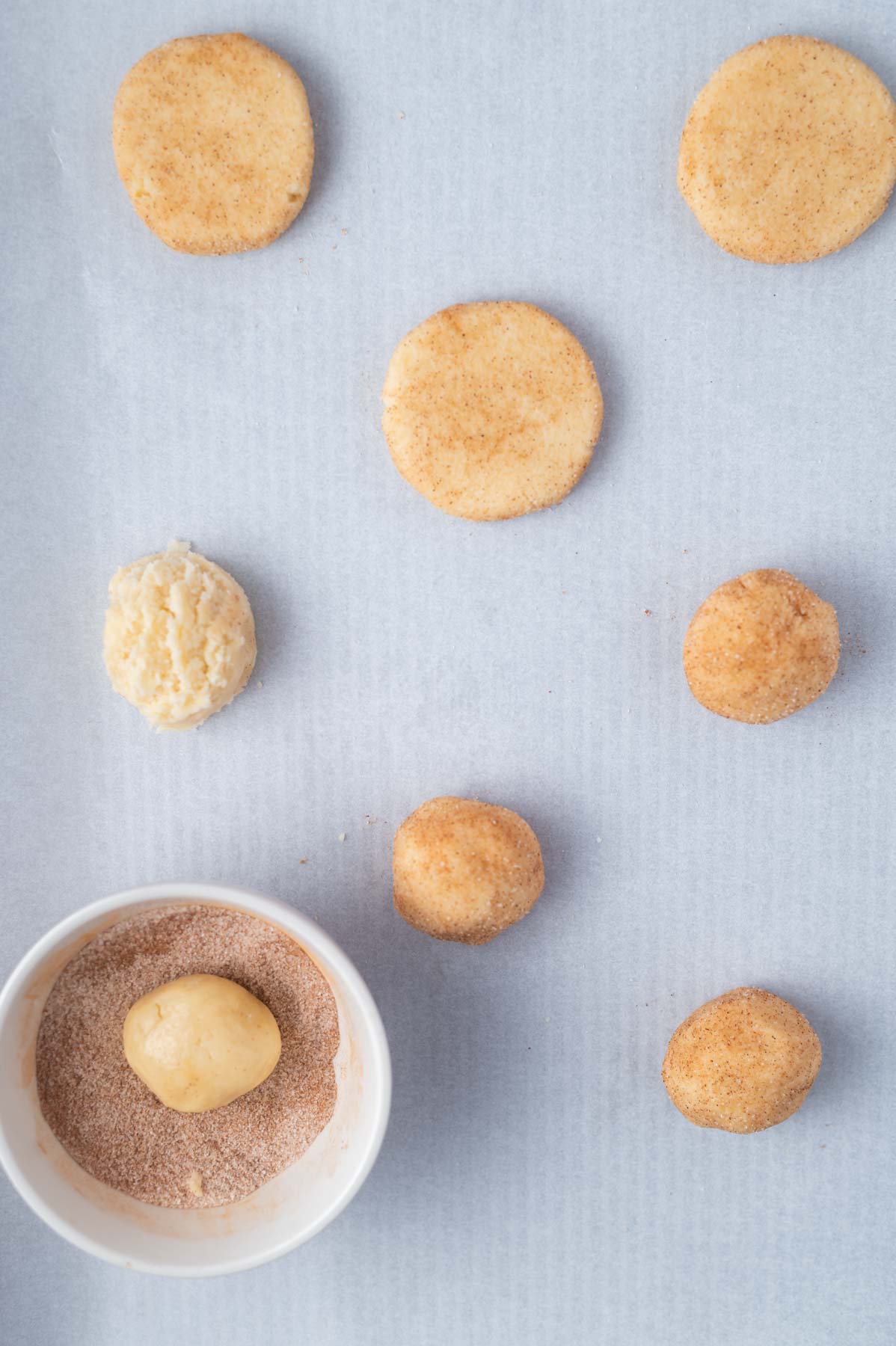 cookie dough rolled in cinnamon sugar and flattened on a parchment lined baking pan