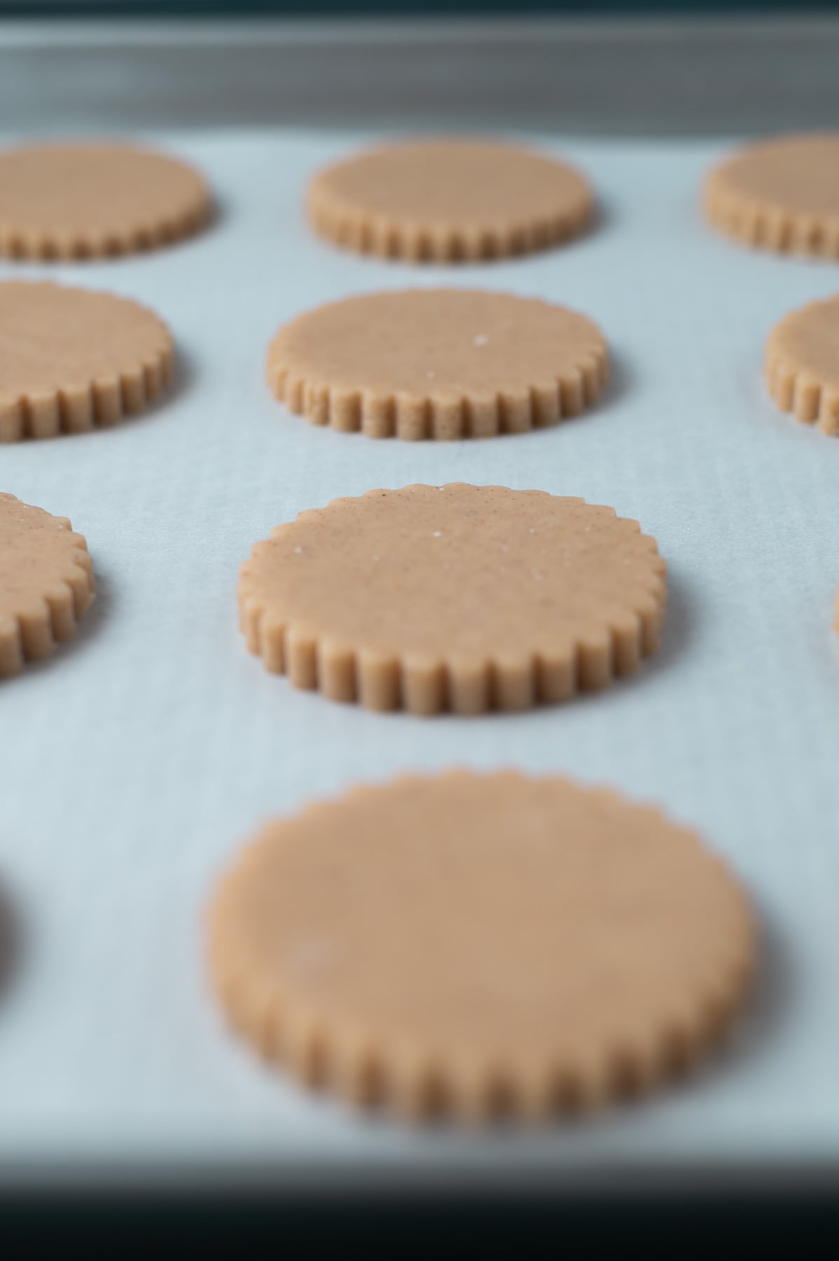 cut out cookie dough on a parchment lined baking sheet